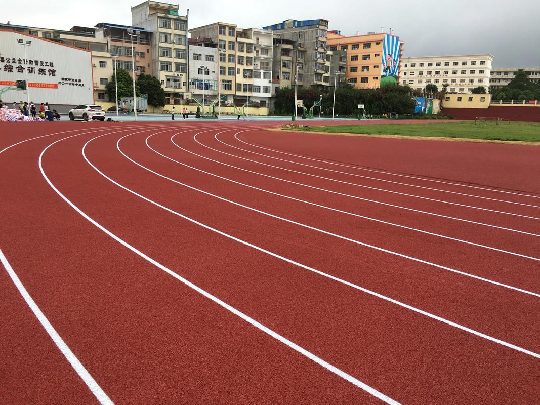 巴音郭楞蒙古自治州塑胶跑道塑胶跑道材料 - 厂家
